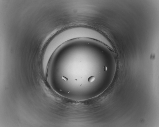 X0000112460395200908171208