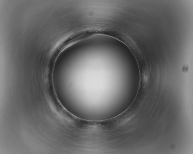 X0000112460396200908171208