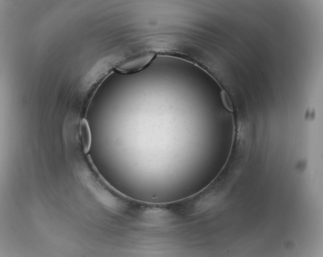 X0000112460397200908171208