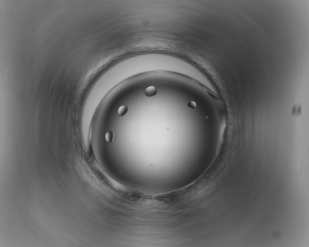 X0000112460399200908171208