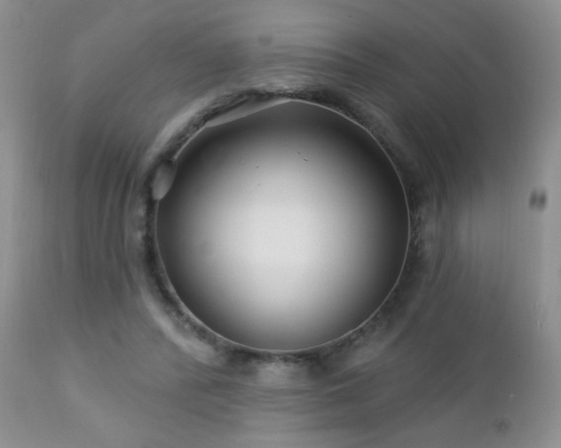 X0000112460400200908171208