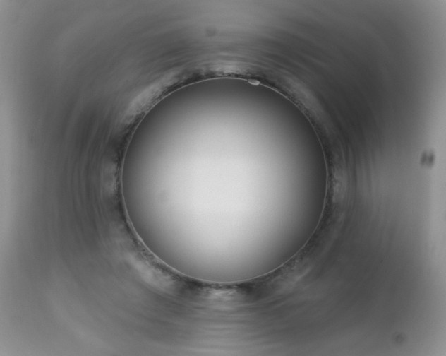X0000112460401200908171208