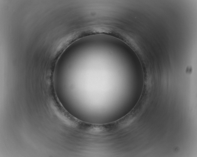 X0000112460402200908171208