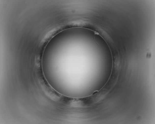 X0000112460403200908171208