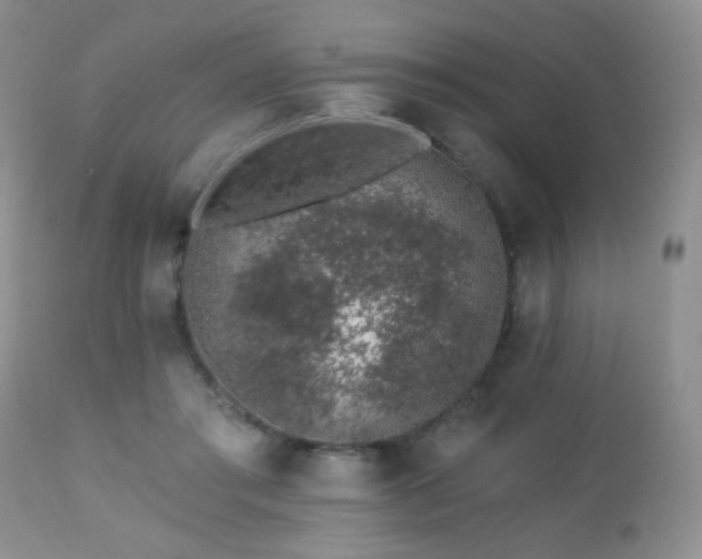 X0000112460405200908171208