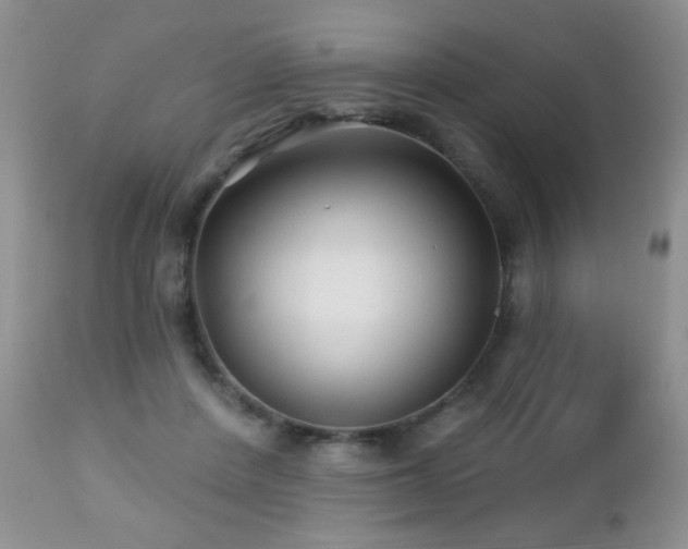 X0000112460408200908171207