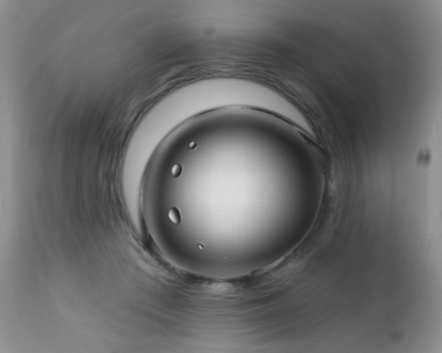 X0000112460409200908171207