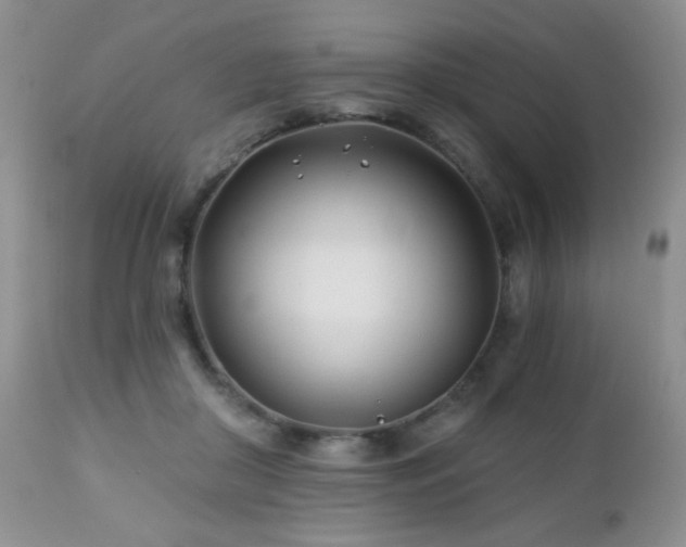 X0000112460410200908171207