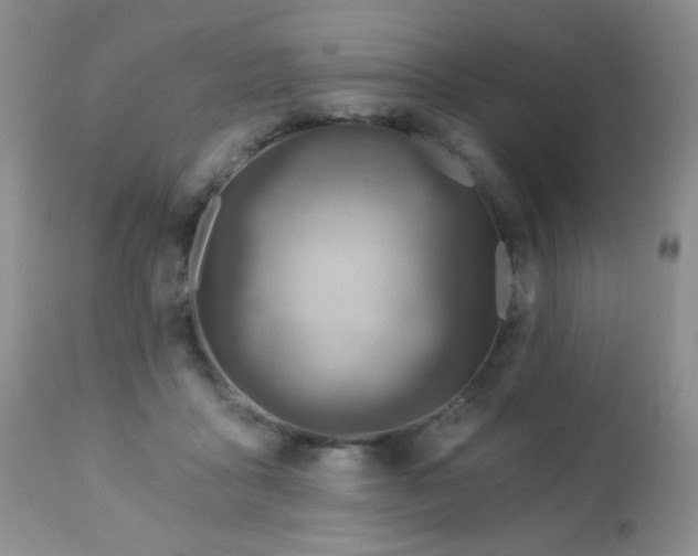 X0000112460411200908171207
