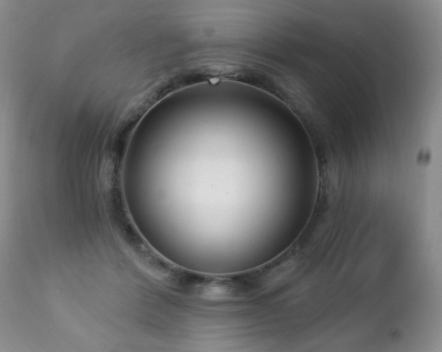 X0000112460412200908171207