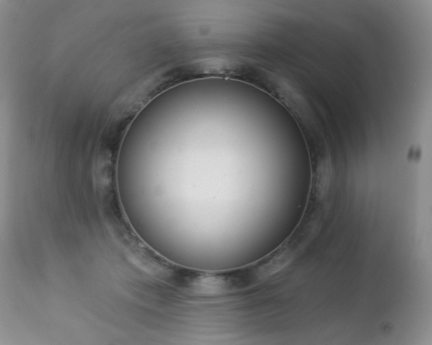 X0000112460413200908171207
