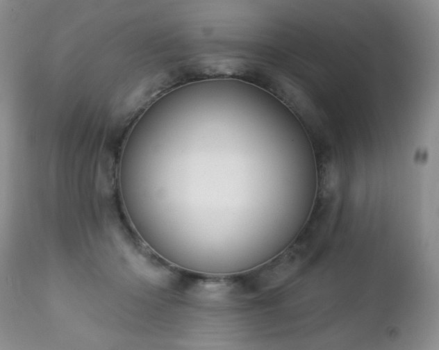X0000112460414200908171207