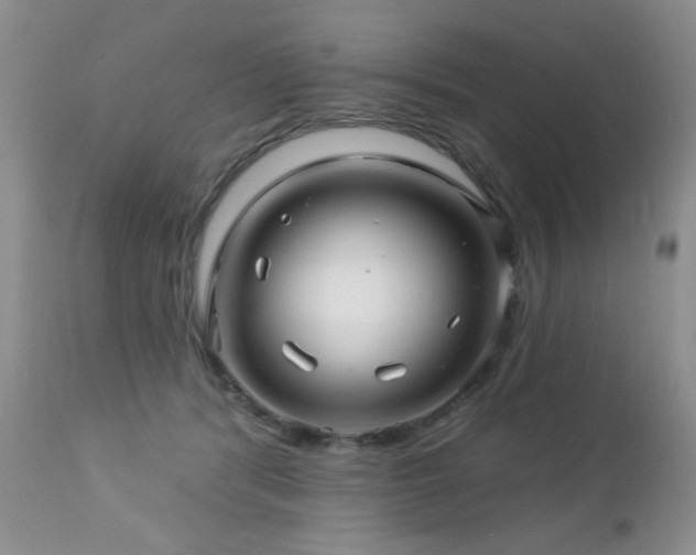 X0000112460416200908171207