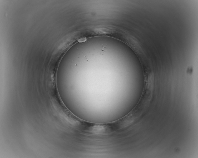 X0000112460418200908171207