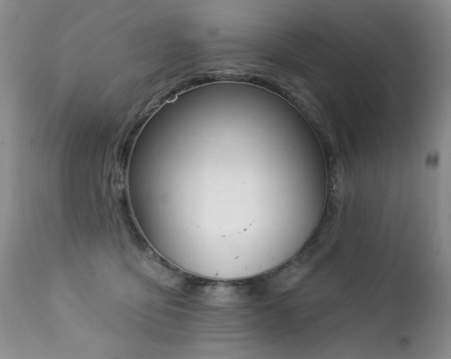 X0000112460419200908171207
