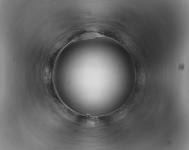 X0000112460420200908171207