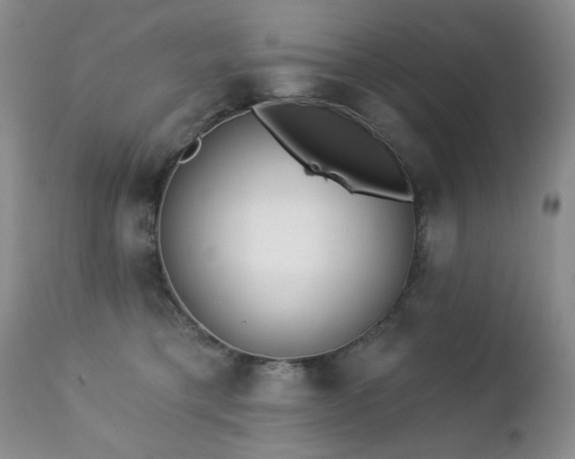 X0000112460421200908171207