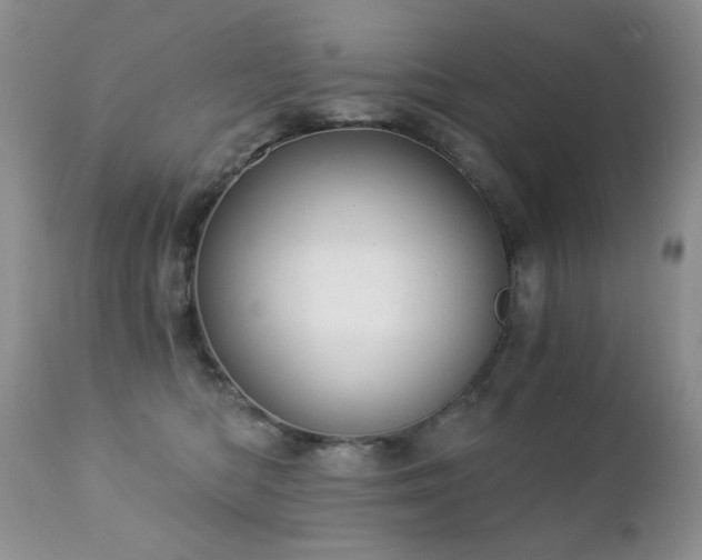 X0000112460422200908171207