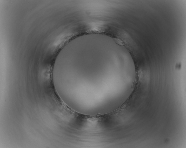X0000112460423200908171207