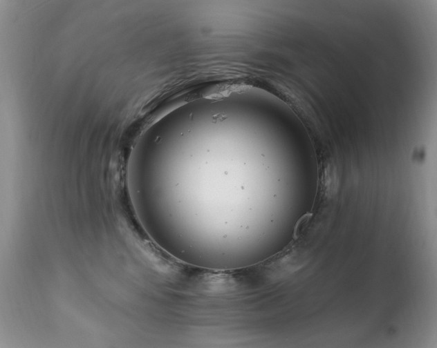 X0000112460424200908171207