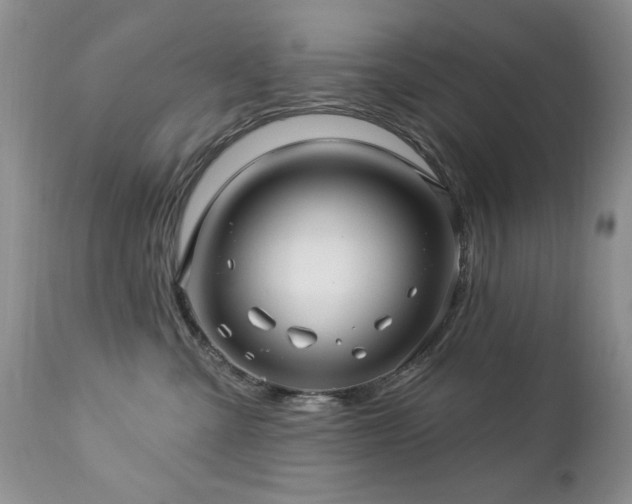 X0000112460427200908171207