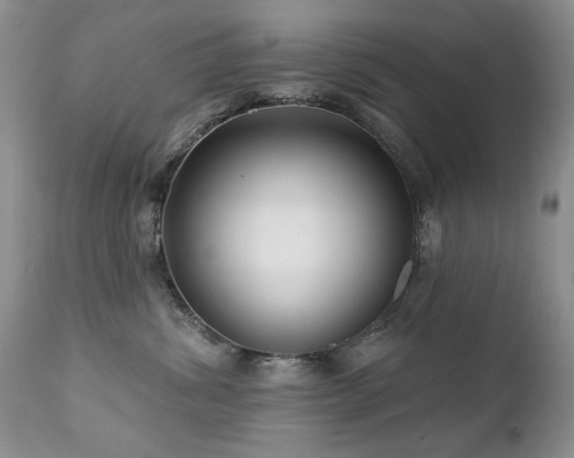 X0000112460428200908171207