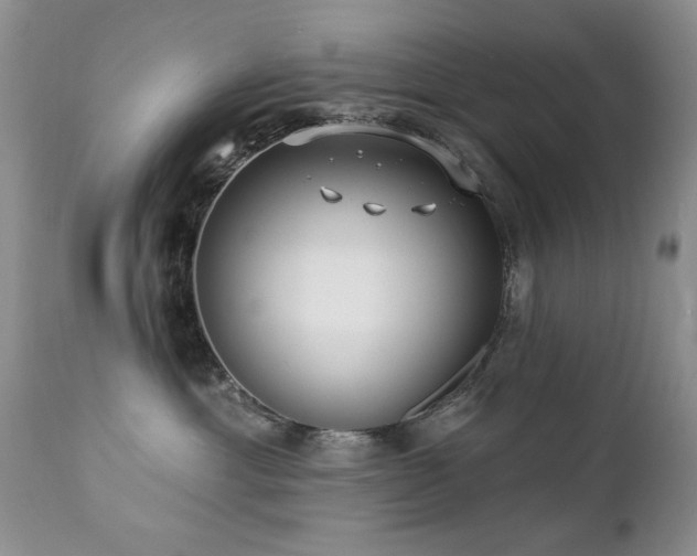 X0000112460429200908171207