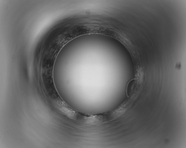 X0000112460430200908171207