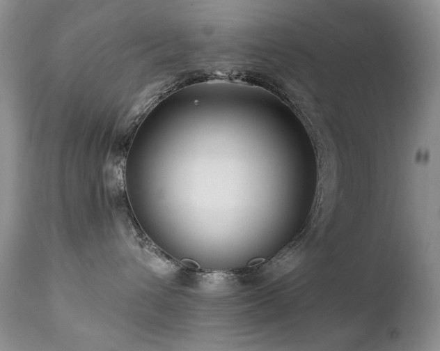 X0000112460432200908171207