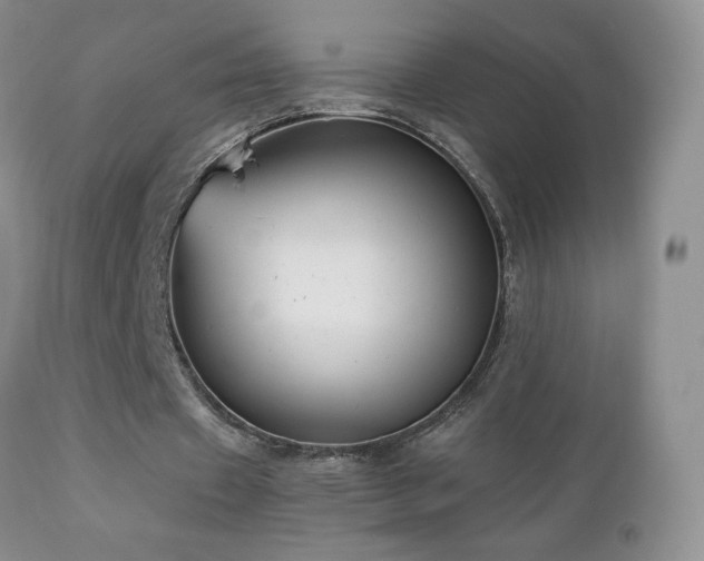 X0000112460433200908171206