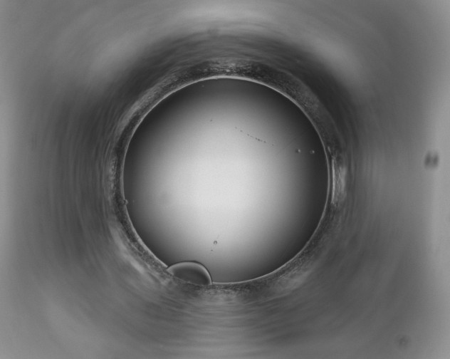 X0000112460435200908171207