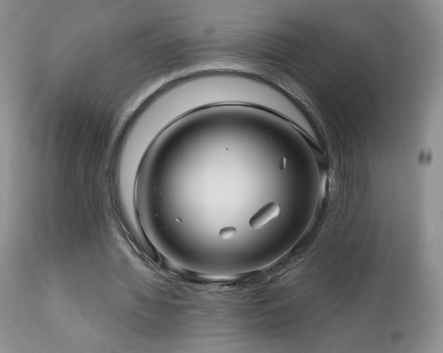X0000112460436200908171207
