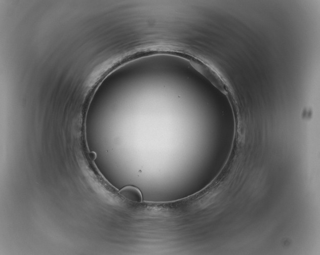 X0000112460437200908171207