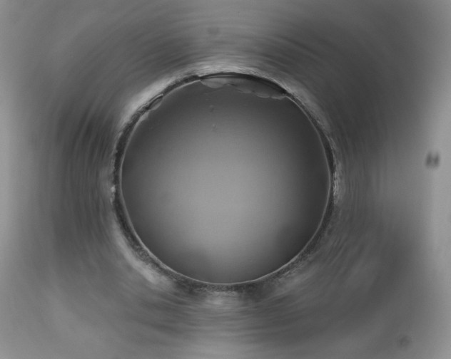 X0000112460438200908171207