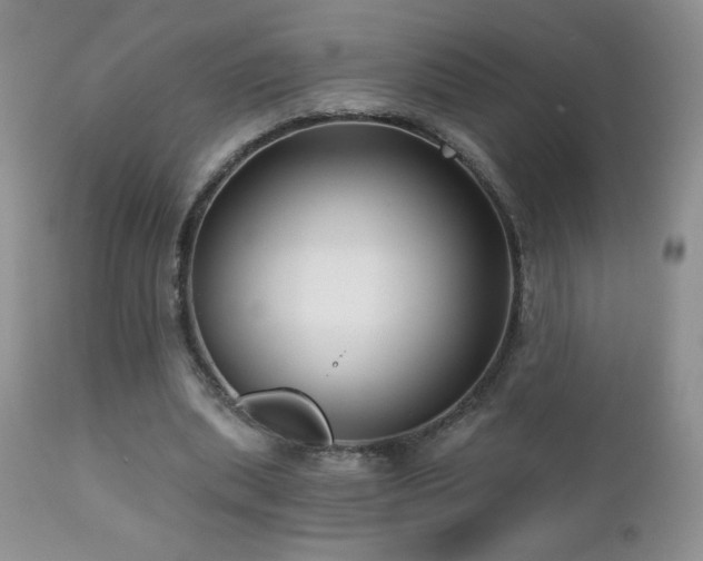 X0000112460439200908171207