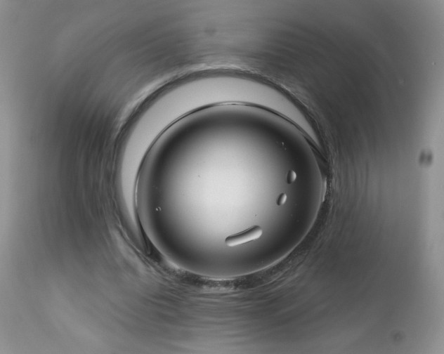 X0000112460440200908171207