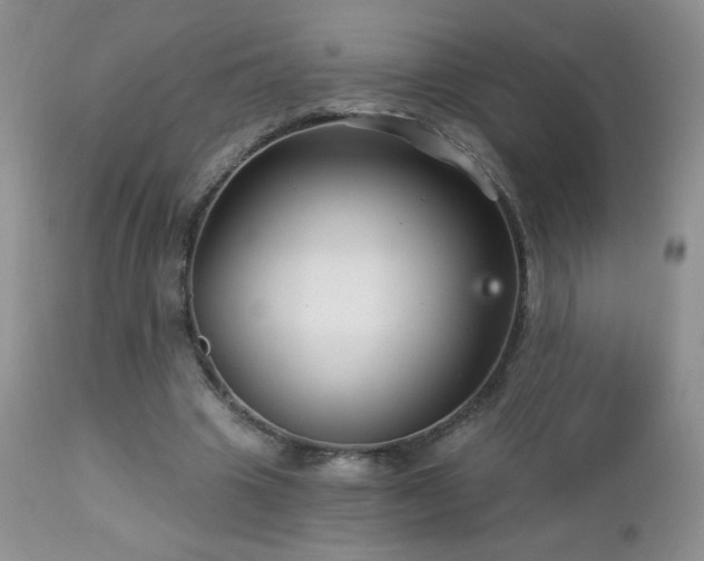 X0000112460441200908171207