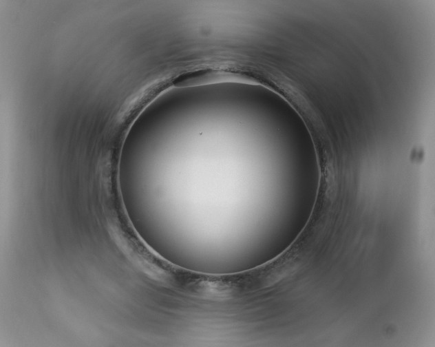 X0000112460442200908171207