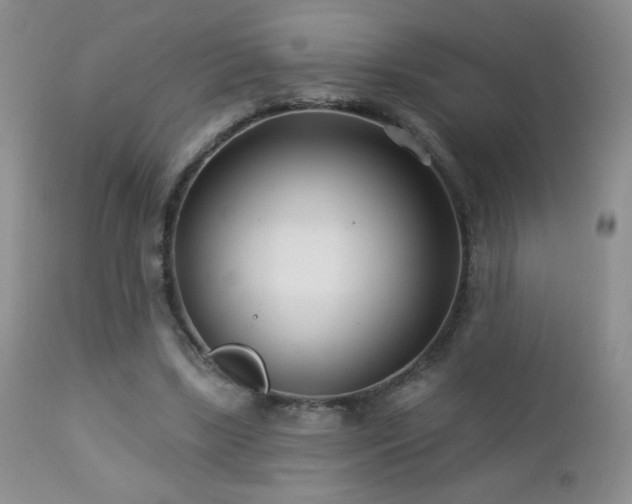 X0000112460443200908171207