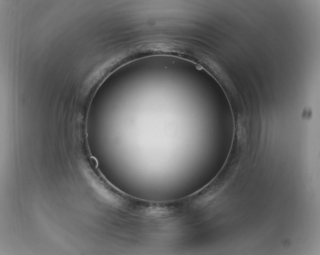 X0000112460445200908171207