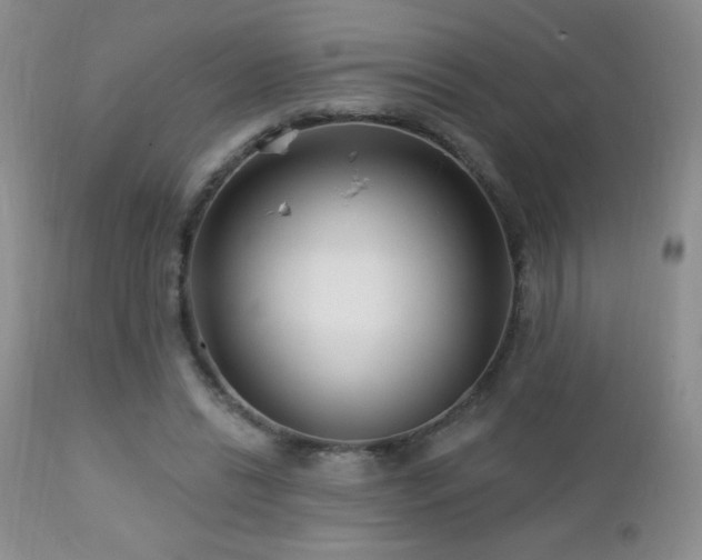 X0000112460446200908171207