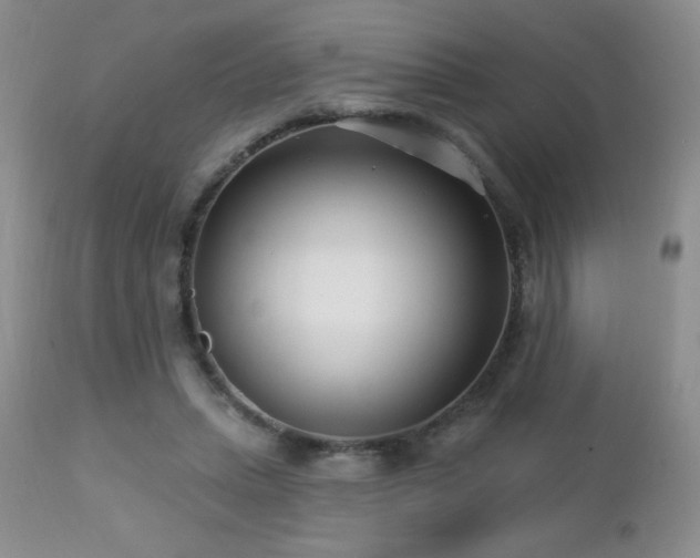 X0000112460447200908171207