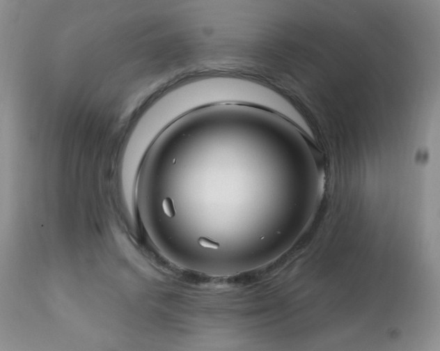 X0000112460448200908171207