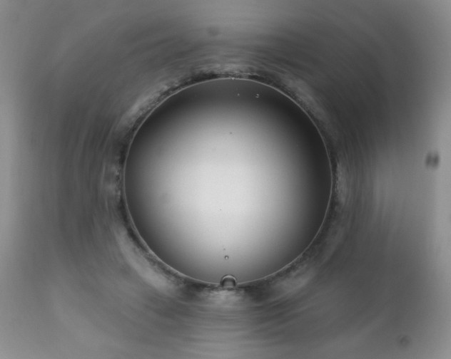 X0000112460449200908171207