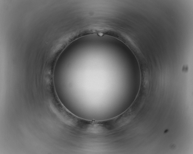 X0000112460451200908171207