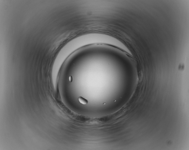 X0000112460452200908171207