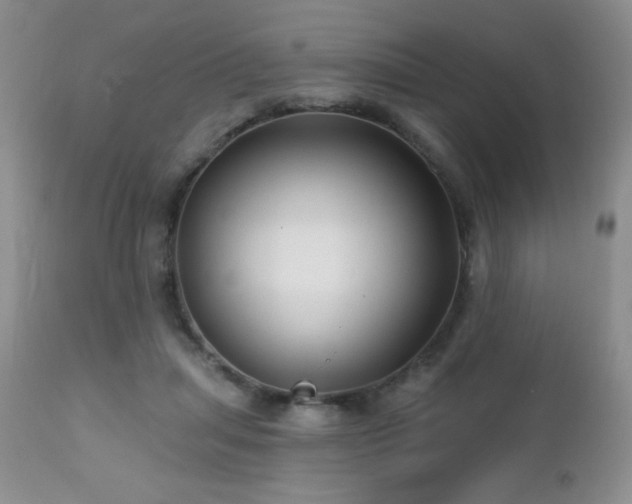 X0000112460455200908171207