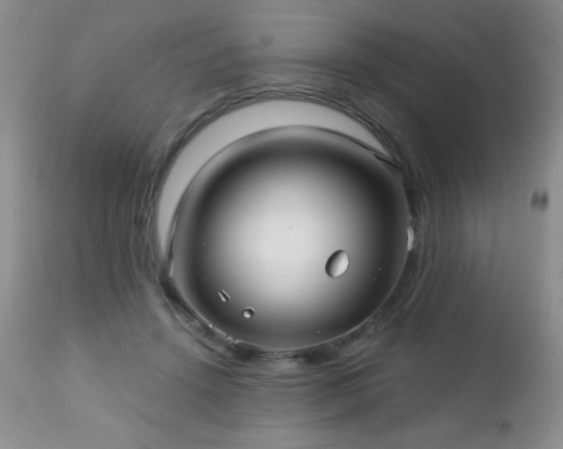 X0000112460456200908171207