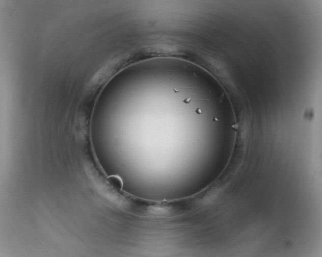 X0000112460457200908171207