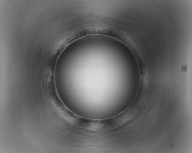 X0000112460458200908171207